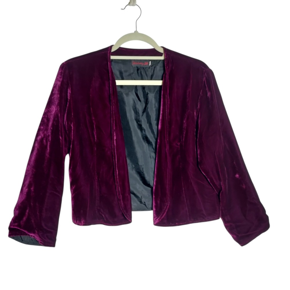 Strawberry Jill Dark Red Silk Cropped Jacket Velvet Gothic Chic Size Large